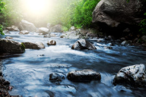 A swift, rocky mountain stream with the sun shining through the green leaves that line the banks.