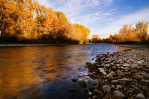 Boise River in the Fall