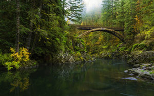 An old brown arch bridge over a calm river that is surrounded by tall pine trees. Brookfield Health and Rehabilitation of Cascadia
