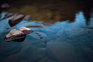 A calm, clear, mountain stream with rocks sticking out of the water. Canyon West of Cascadia