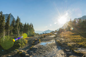 A narrow dirt hiking trail surrounded by rocks and pine trees with the sun shining brightly in the distance. Libby Care of Cascadia