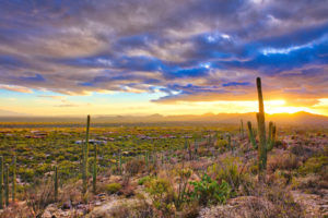 Sunset over suburb of Tucson