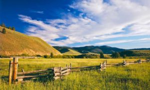 Grassy meadow with a pole zig-zag split rail fence running and grass covered rolling hills in the background. Cherry Ridge of Cascadia