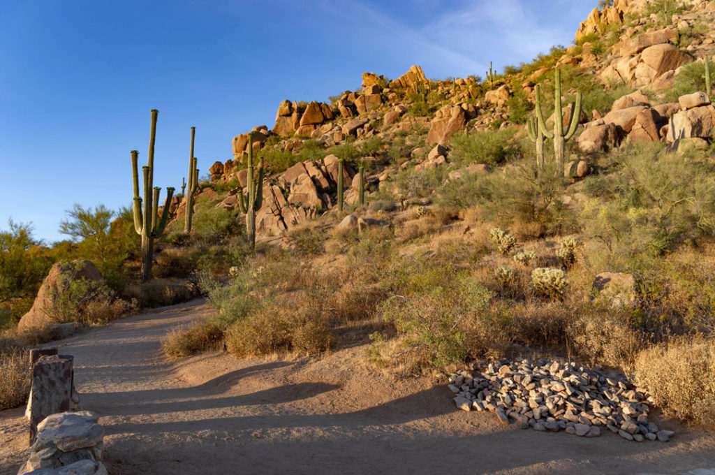 Hiking Trail near Sun City, Arizona, Location of Boswell Transitional