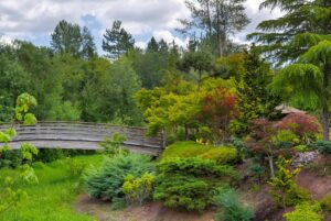 Fairlawn Health and Rehabilitation of Cascadia Home Page Image