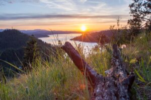 Paradise Creek Health and Rehabilitation of Cascadia Home Page Image