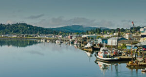A calm waterfront with boats docked along the edge and rolling green hills in the background.