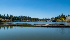 Wooden docks on calm water with houses and surrounding the water.